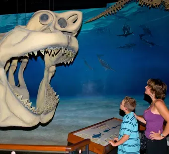 Calvert Marine Museum-Mason &amp; Chandra  at  Megalodon-model