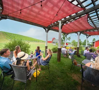 Wine Festival in Frederick