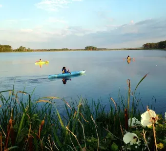 Blackwater Refuge offers land trails, paddling trails, exceptional bird and wildlife viewing, as well as hunting, fishing and crabbing opportunities in season. Several local outfitters offer canoe, kayak or bicycle rentals.