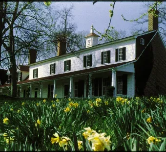 With wine tastings, concerts, and a preserved slave cabin, there's always something to discover at Sotterley.