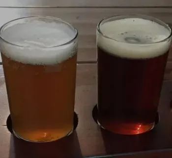 Beer in glasses Photo