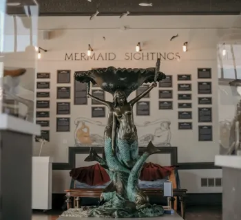 The Mermaid Museum Photo