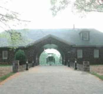 Horse carriage at Belair Stable Photo