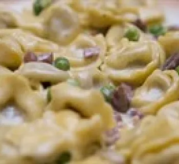 Pasta dish Photo